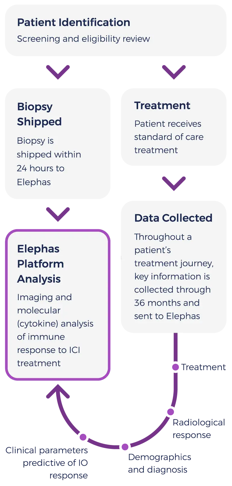 ele-data-clinicaltrialworkflow-02